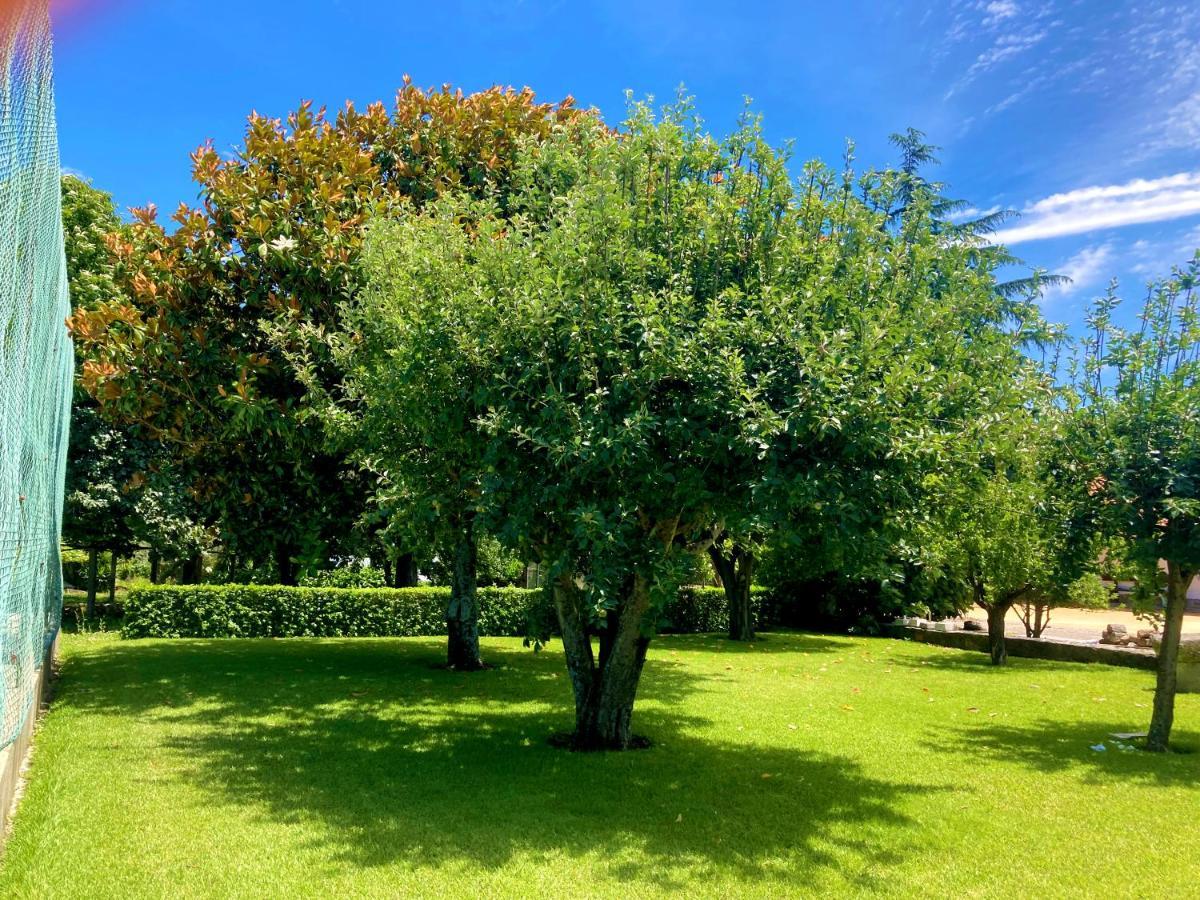 Quinta Dom Sapo - Agroturismo Виана до Кастело Екстериор снимка