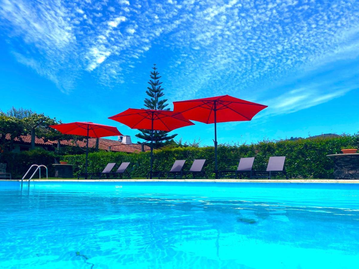 Quinta Dom Sapo - Agroturismo Виана до Кастело Екстериор снимка