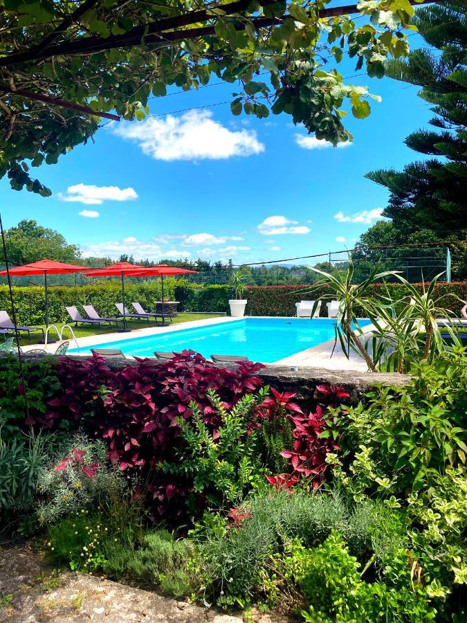 Quinta Dom Sapo - Agroturismo Виана до Кастело Екстериор снимка